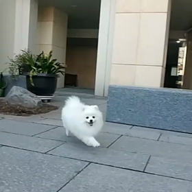 ジュノ君インスタの画像