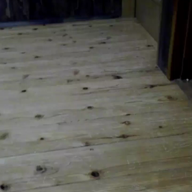 ネコちゃんの画像