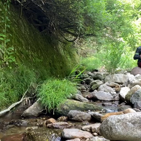 “自然と音遊び” プロジェクト vol.003！の画像