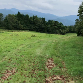 サウダーデの画像