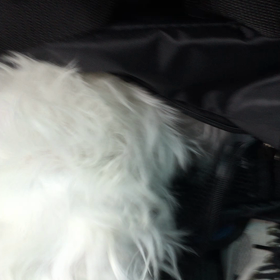 自分のポジションは自分で守る⁉️の画像