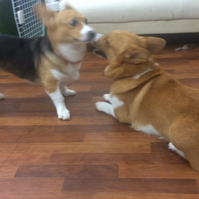 もっと遊ぼうよの画像