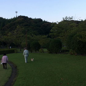 夜のテニスの画像