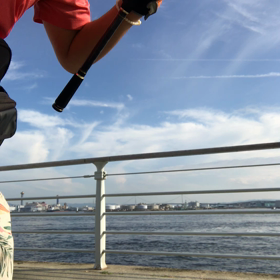 南港オクトパッシングの画像