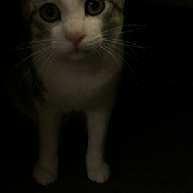 風呂場での画像