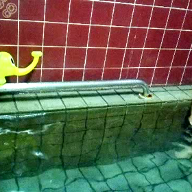 スイミング⁉の画像