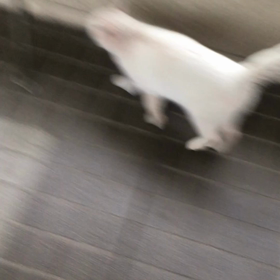 帰らないでの画像