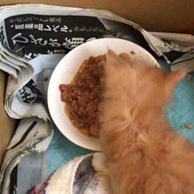 つかさくん離乳食！の画像