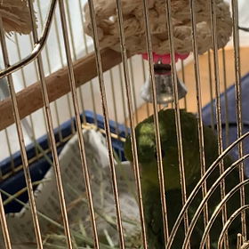 お宝映像の画像