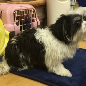 大変よく頑張りました。の画像