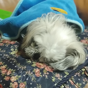 ただいま✨の画像