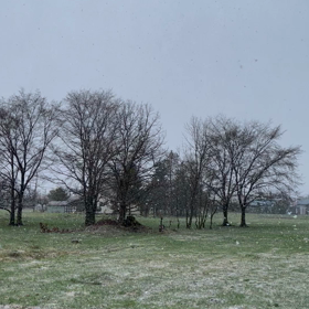 2021/05/03アラフィフのダイエット日記の画像