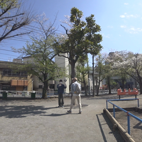 (^-^)/にゃー、公園で久しぶりの組手…の画像