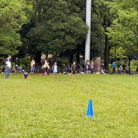 ダッシュ(青チーム)③の画像