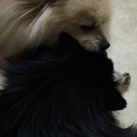 それぞれの気持ちの画像