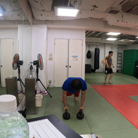 レネゲイドローとプッシュアップの画像