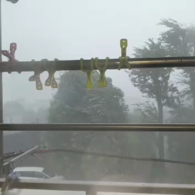 台風で…【訂正有】の画像