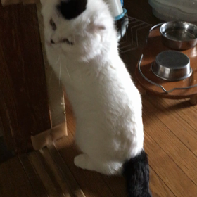 男のストレス解消法の画像