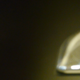 成長の過程の画像