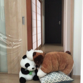 チャオの成長の画像