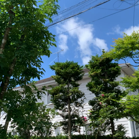 やっと晴れてくれましたの画像