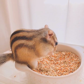 よいしょっと♪の画像