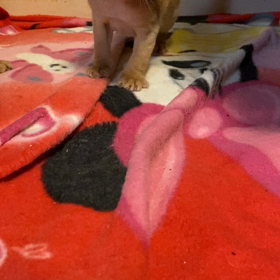 そろそろ歩き出しました❣️の画像