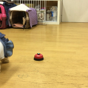 ミルキー編。の画像