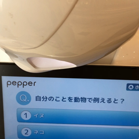 Pepperの画像