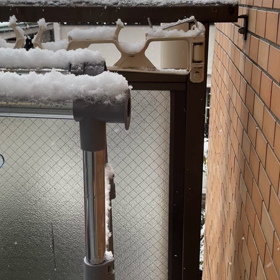 雪やこんこんの画像