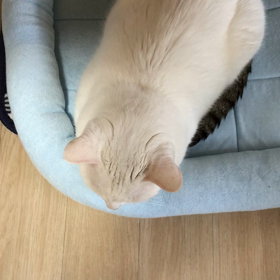 ランチタイムの画像