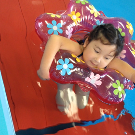 プールリハの画像