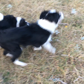 1人残される兄妹の画像