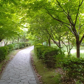 この世は残酷だの画像