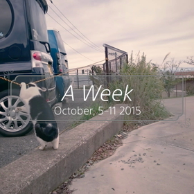 「今日のロクちゃん！」動画編～勝手に編集されるスライドショー～の画像