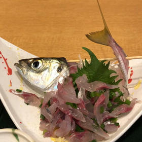 アジの最後の画像
