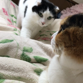 きた〰！の画像