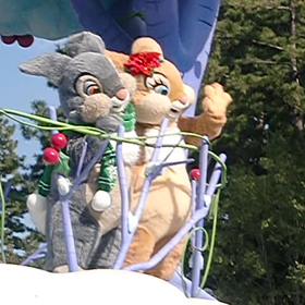 【フォトサンデー】イースターじゃないウサギたちの画像