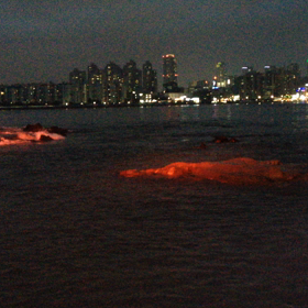 gwanan li videoの画像