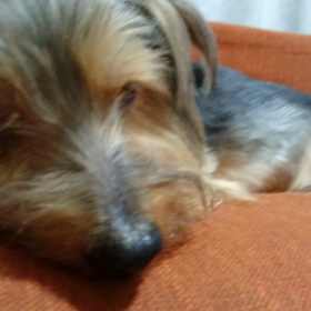 24時間TVを聴きながらの画像