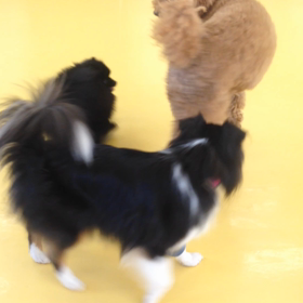 ▶︎ストーカーふぁんたの画像