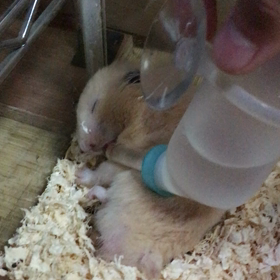 起きないのかよっ！の画像