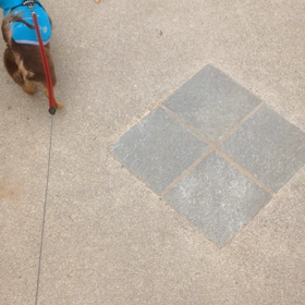 追越しチラ見の画像