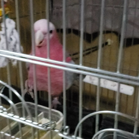 イメージと違うの画像