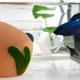 ナイト君のフレアリングの画像