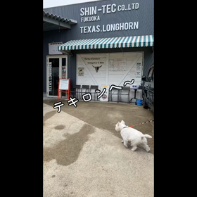 テキロンで！の画像