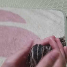 鳴き声❗の画像