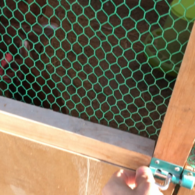 鶏の卵ゲット〜の画像