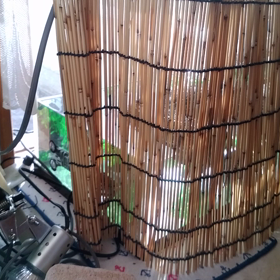 おはようセスジローの画像