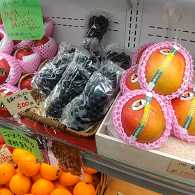 二月にこんな美味しいぶとうが食べられるなんての画像